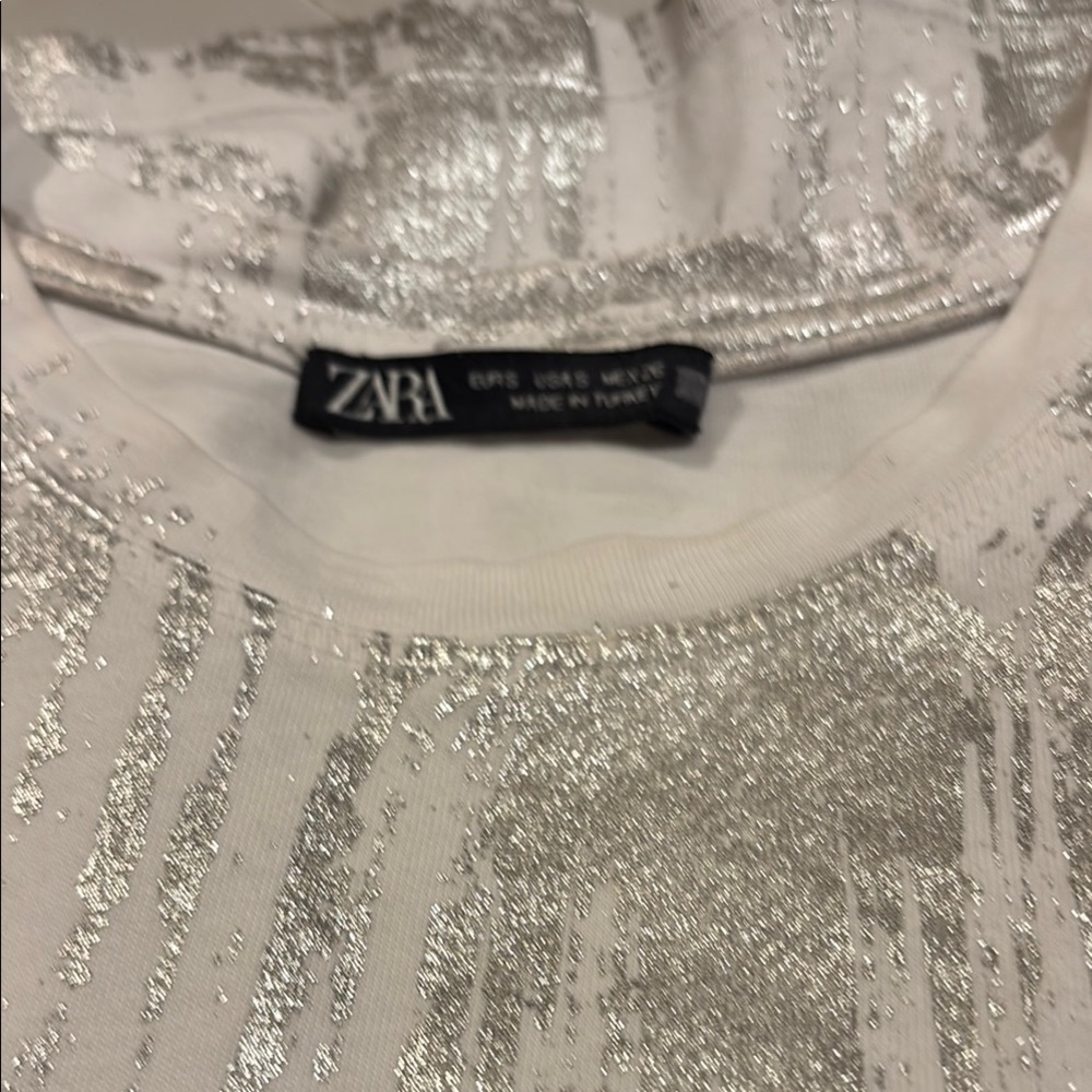 Zara Silver Glitter Top